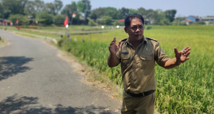 Isu Penjualan Tanah Aset Desa, Pemdes Wuled Jadi Sorotan Warga